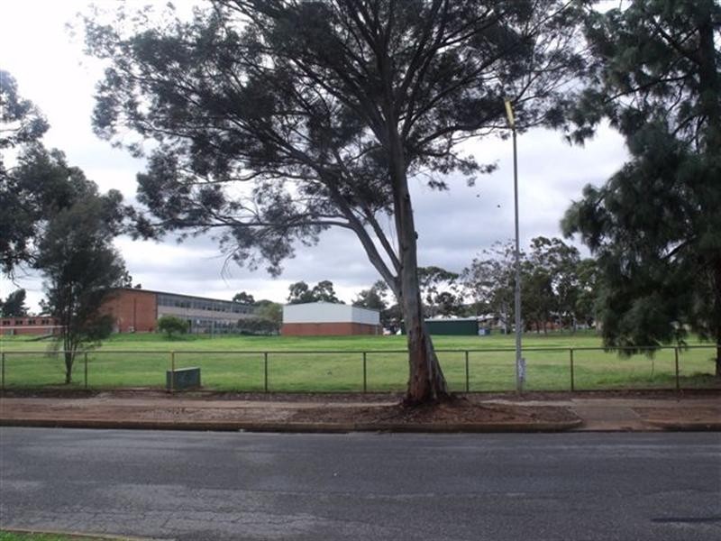 30 Hornet Crescent, Elizabeth East SA 5112