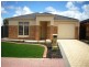56 Jarrah Drive, Munno Para West SA 5115