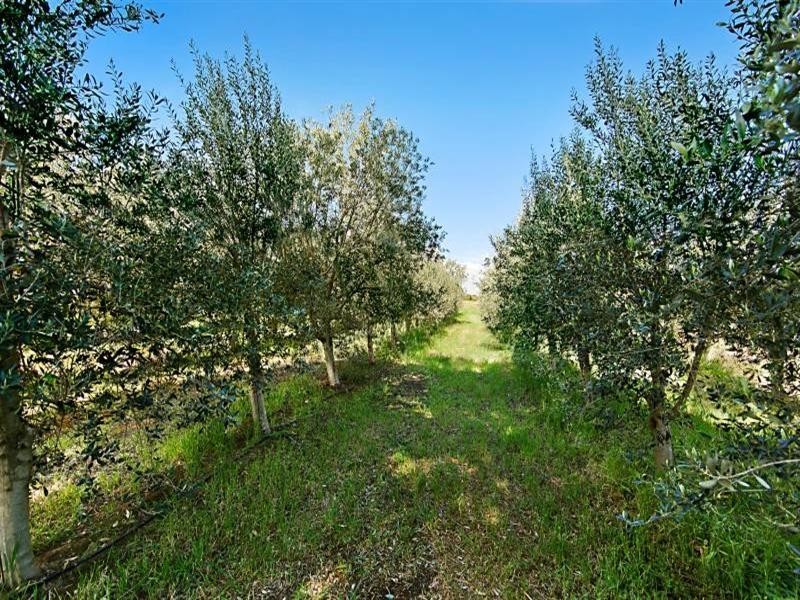 32 Chapman Street, Two Wells SA 5501