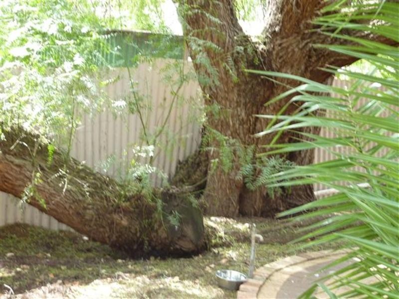 8 Hornet Crescent, Elizabeth East SA 5112