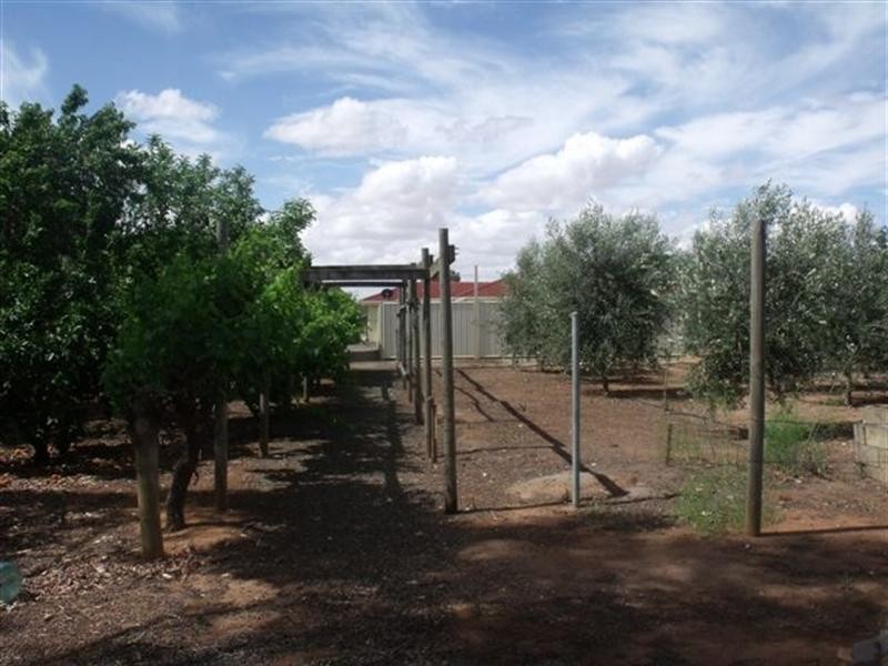 14 Higgins Road, Angle Vale SA 5117