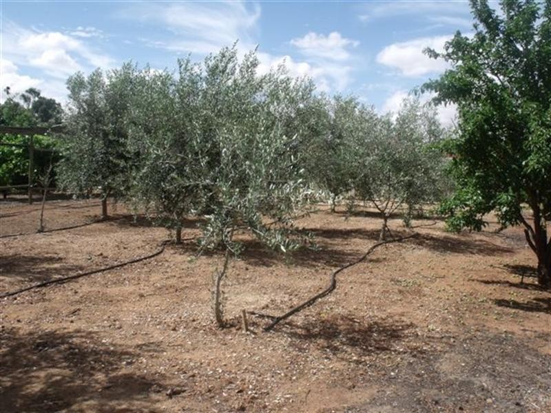 14 Higgins Road, Angle Vale SA 5117