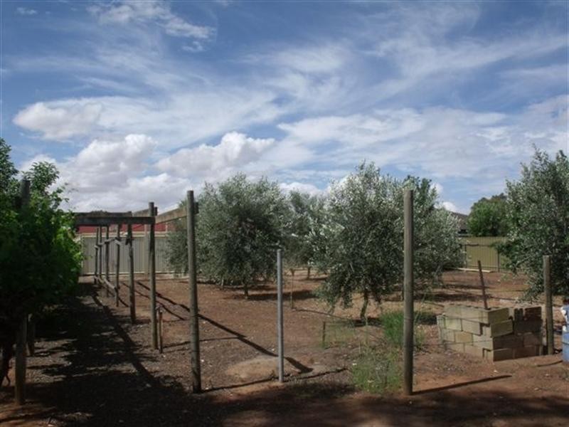 14 Higgins Road, Angle Vale SA 5117