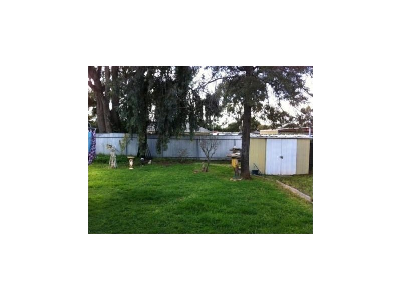 17 Winkle Street, Elizabeth Downs SA 5113