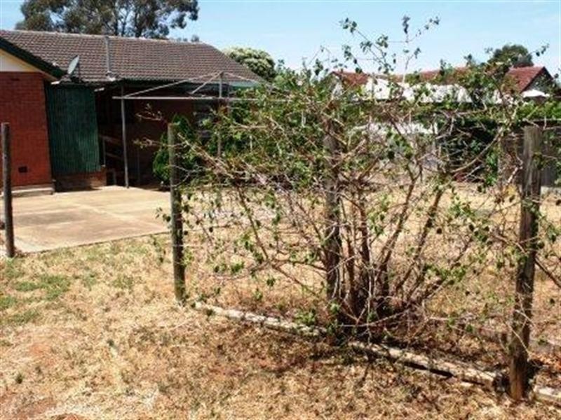 19 Kenner Street, Elizabeth Downs SA 5113