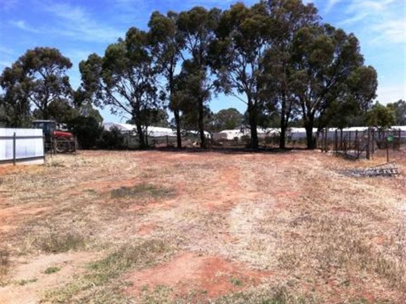 Lot 5 Thyer Road, Macdonald Park SA 5121