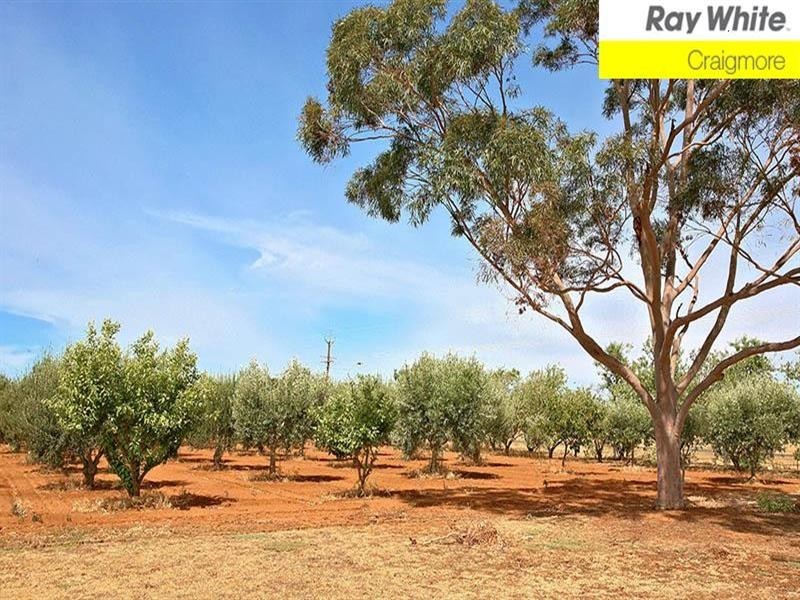 26 Broadacres Drive, Angle Vale SA 5117