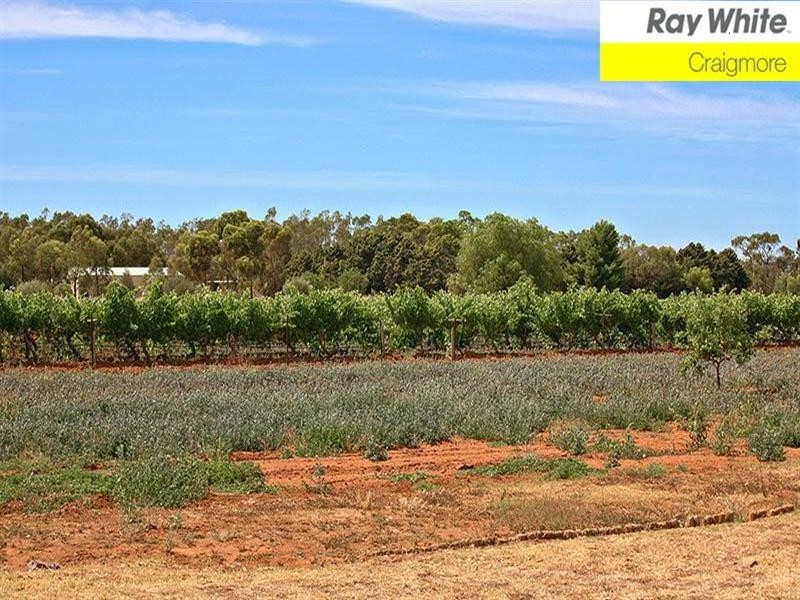 26 Broadacres Drive, Angle Vale SA 5117