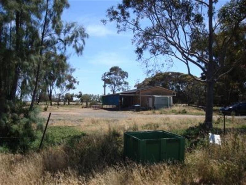 595 Williams Road, Two Wells SA 5501