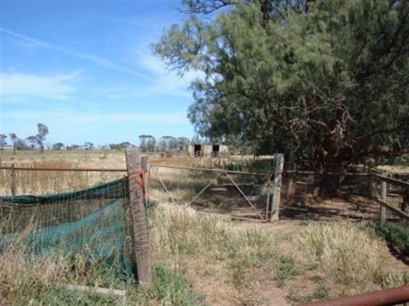 595 Williams Road, Two Wells SA 5501