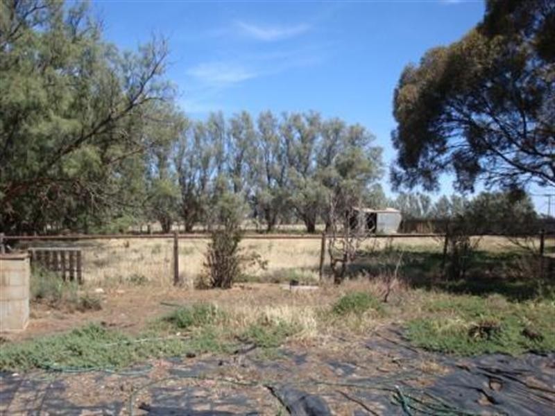 595 Williams Road, Two Wells SA 5501