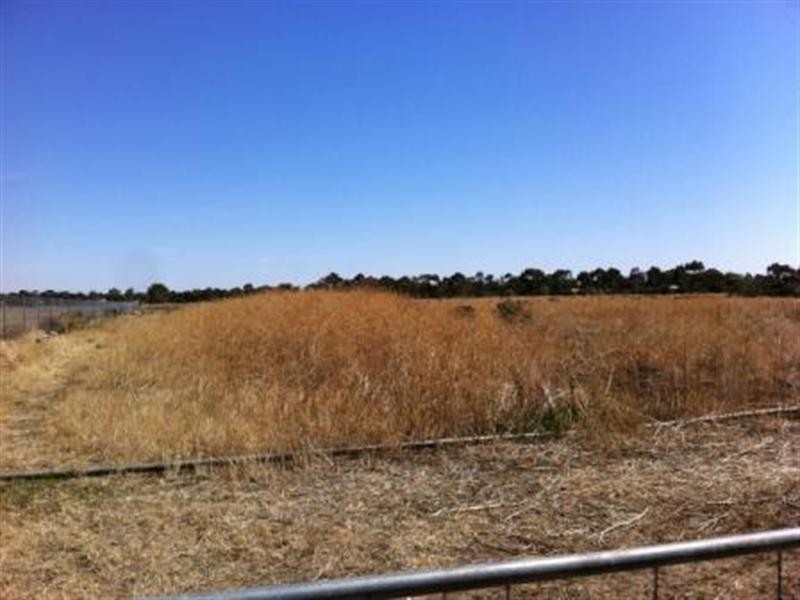 113 Gilks Road, Lewiston SA 5501