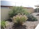 25 Grace Boulevard, Smithfield Plains SA 5114