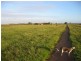 Lot 10 Nemesis Court, Buckland Park SA 5120