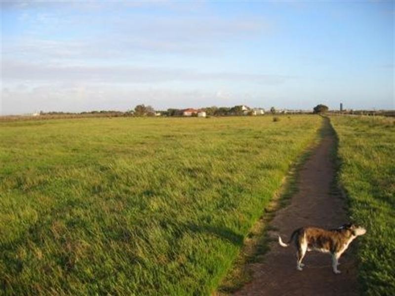 Lot 10 Nemesis Court, Buckland Park SA 5120