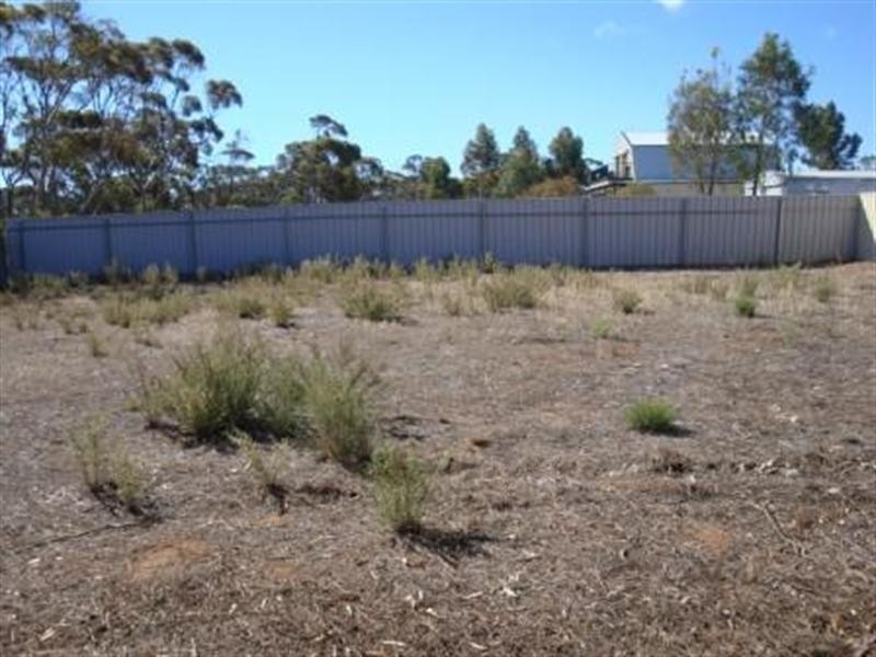 6 Fifth Street, Dublin SA 5501