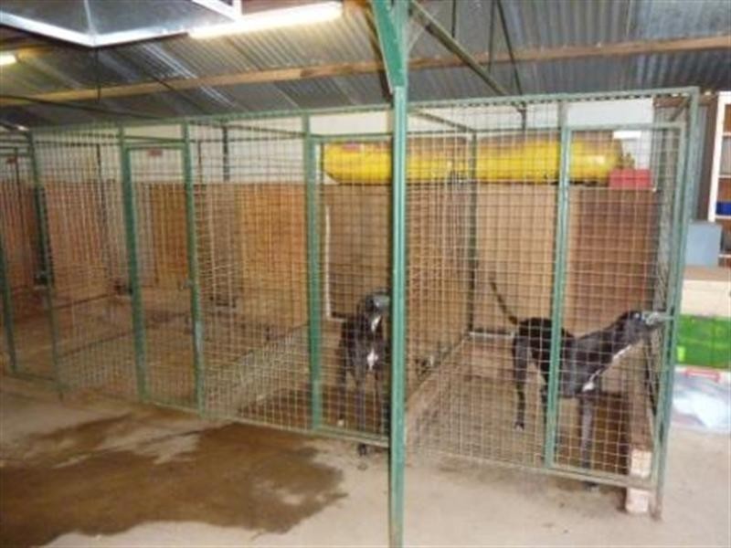 220 Hayman Road, Lewiston SA 5501