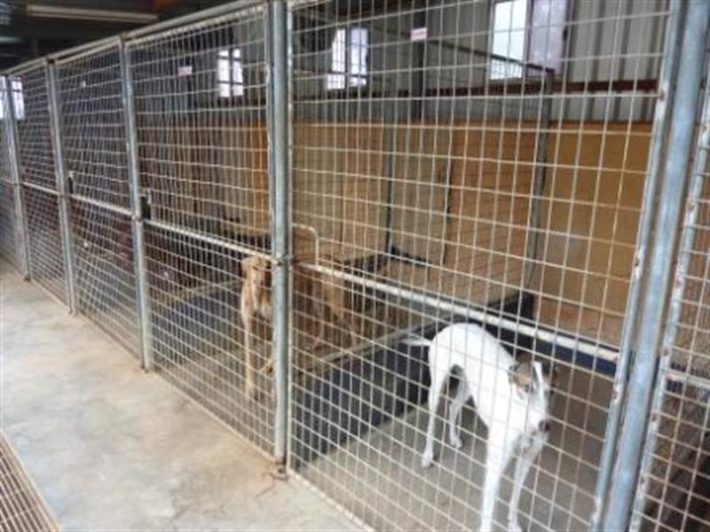 220 Hayman Road, Lewiston SA 5501