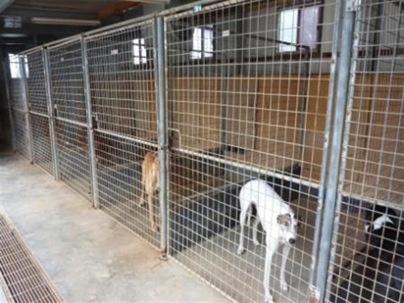 220 Hayman Road, Lewiston SA 5501