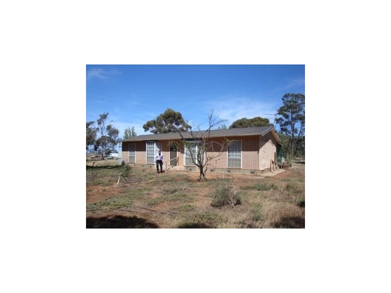 595 Williams Road, Two Wells SA 5501