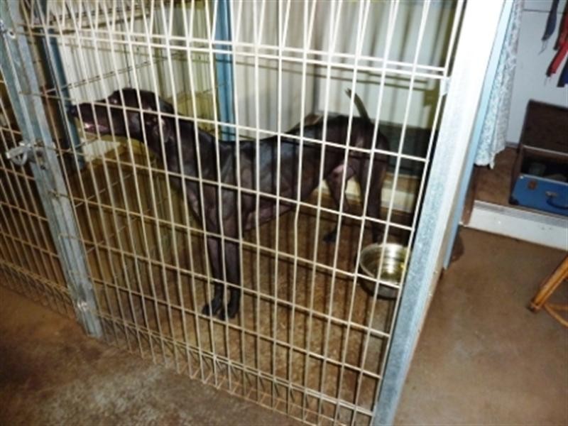 106 Gawler Road, Lewiston SA 5501