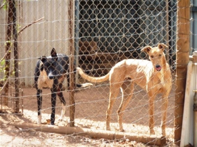 106 Gawler Road, Lewiston SA 5501