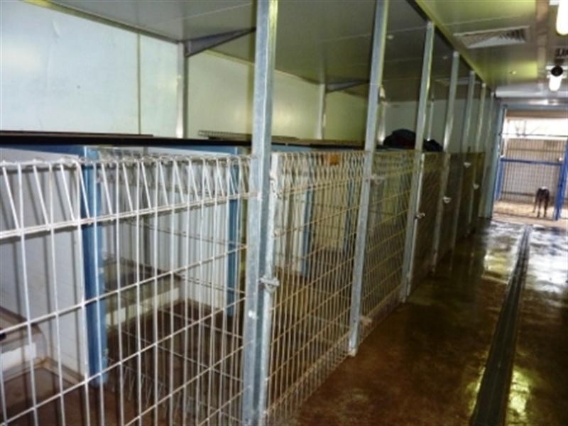 106 Gawler Road, Lewiston SA 5501