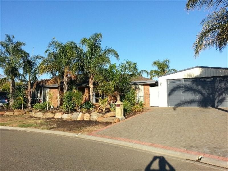 17 Buttercup Grove, Blakeview SA 5114