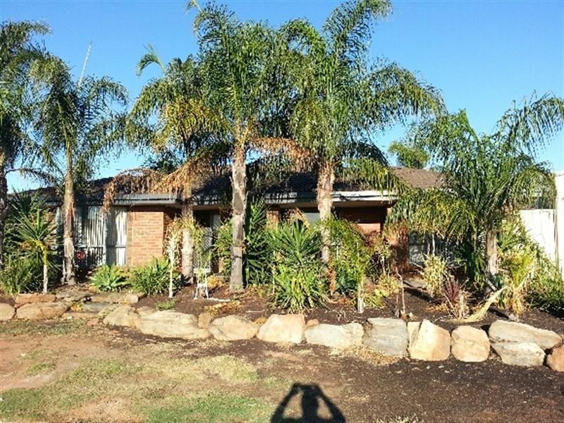 17 Buttercup Grove, Blakeview SA 5114