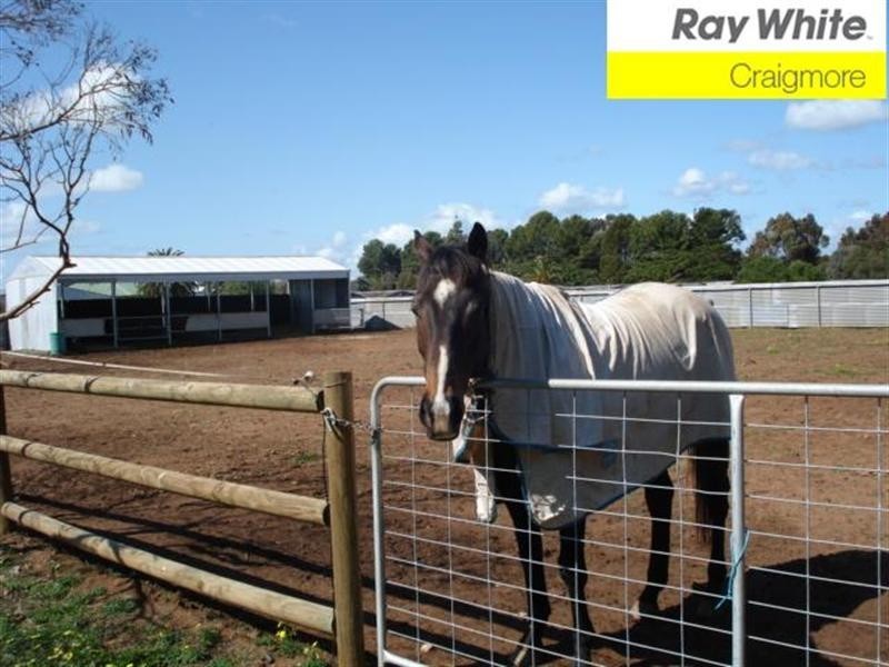 Lot 145 Lyndon Road, Macdonald Park SA 5121