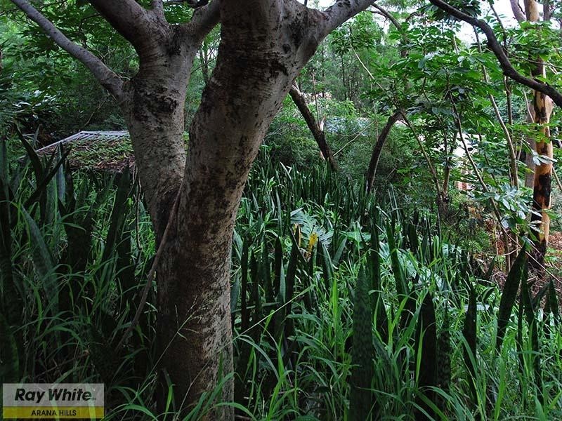 930 South Pine Road, Everton Park QLD 4053