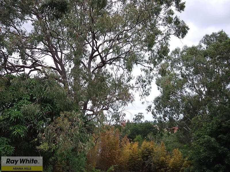 233 Appleby Road, Stafford Heights QLD 4053