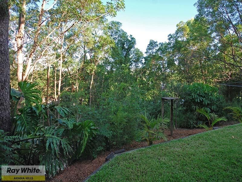 111 Plucks Road, Arana Hills QLD 4054