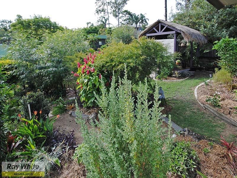 3 Whitewood Place, Arana Hills QLD 4054