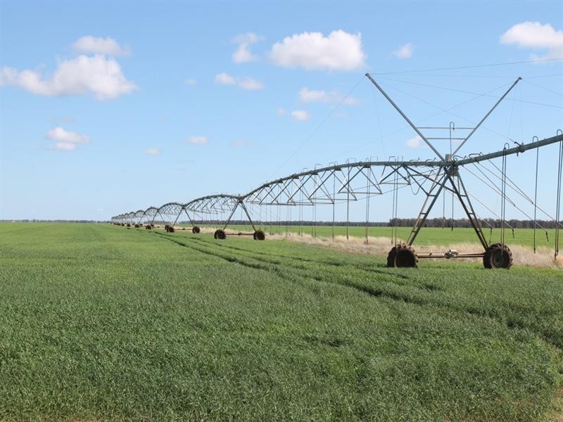 . Ballangarry Road, Thallon QLD 4497