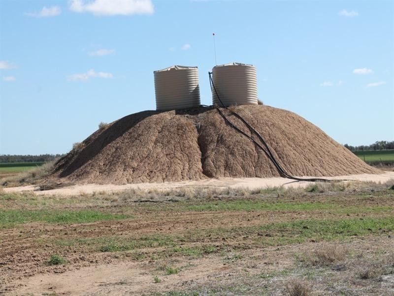 . Ballangarry Road, Thallon QLD 4497