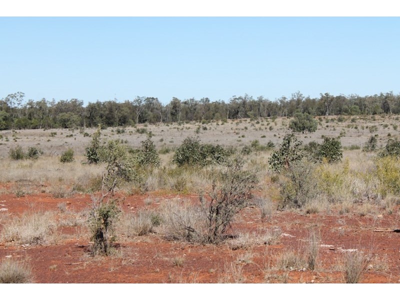 1097 FEAS Road, Talwood QLD 4496