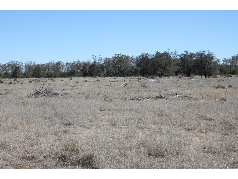 1097 FEAS Road, Talwood QLD 4496