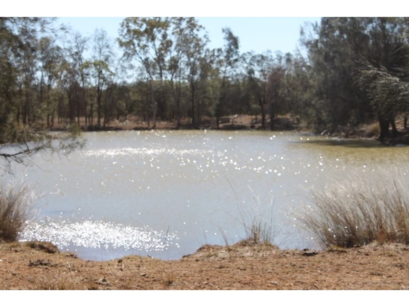 1097 FEAS Road, Talwood QLD 4496