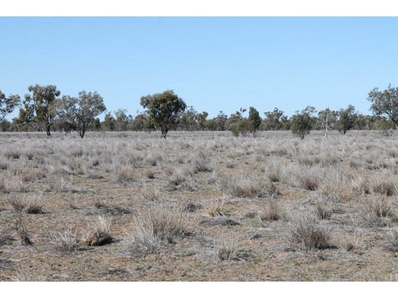 2209 KYWONG Road, Cunnamulla QLD 4490