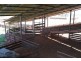 2209 KYWONG Road, Cunnamulla QLD 4490