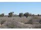 2209 KYWONG Road, Cunnamulla QLD 4490