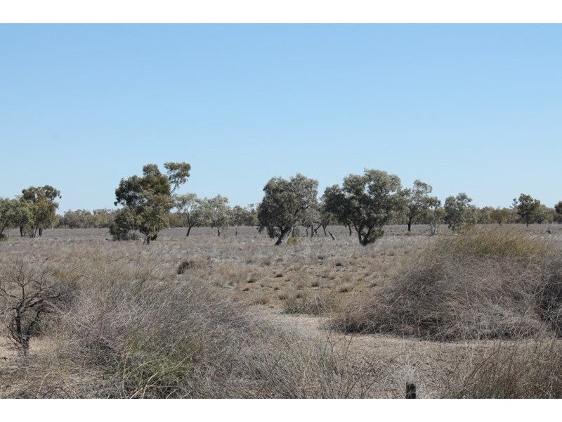 2209 KYWONG Road, Cunnamulla QLD 4490