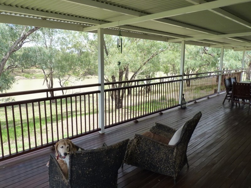 117 Whyenbah Road, St George QLD 4487