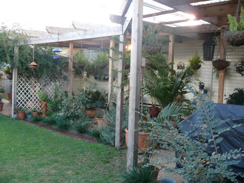 38 Alfred Street, St George QLD 4487