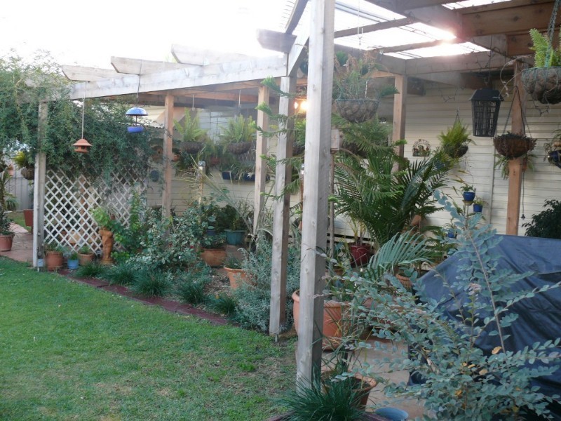 38 Alfred Street, St George QLD 4487