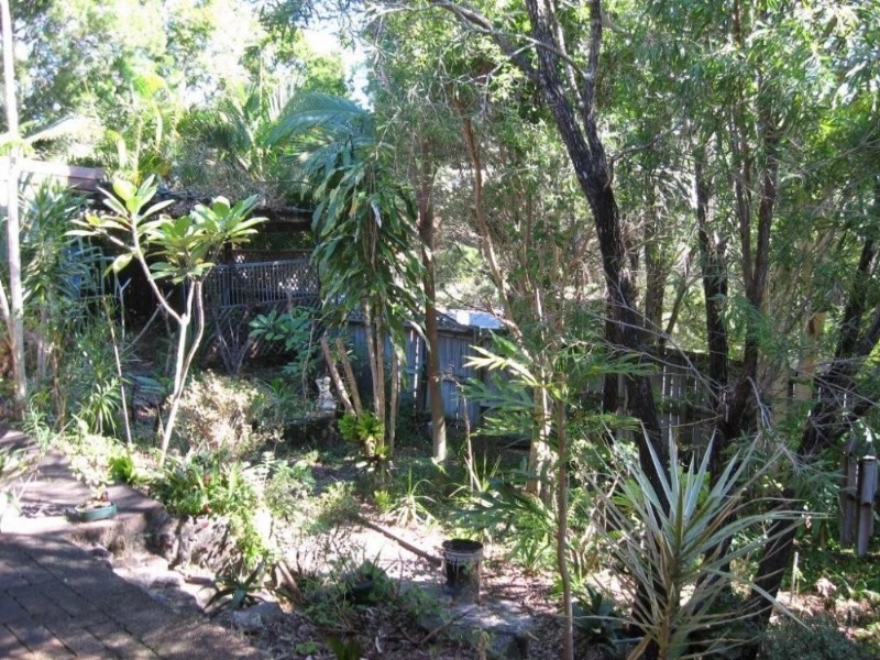 26 Toulambi Street, Noosa Heads QLD 4567