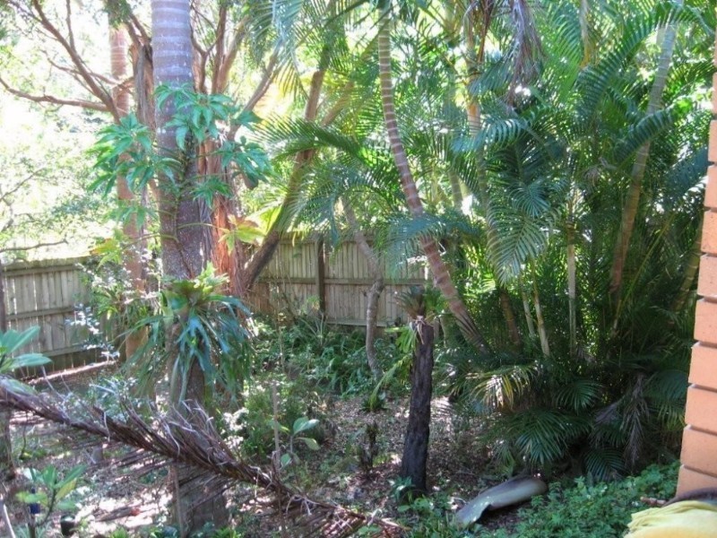 26 Toulambi Street, Noosa Heads QLD 4567