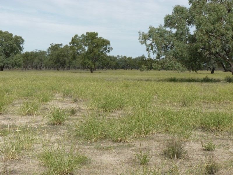 0 HEBEL – GOODOOGA Road, Goodooga NSW 2831