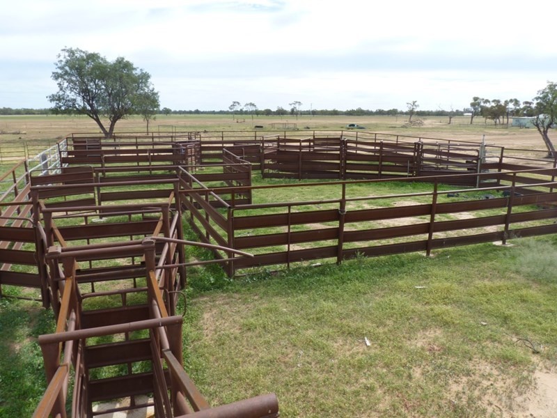 0 HEBEL – GOODOOGA Road, Goodooga NSW 2831